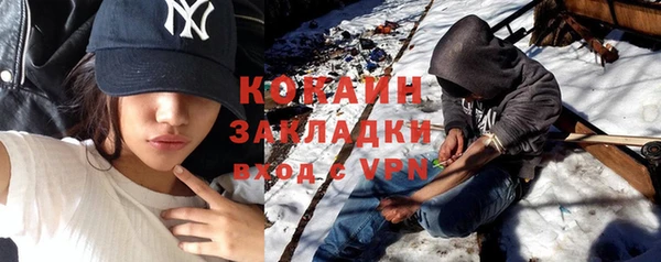 эйфоретик Богданович