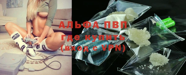 эйфоретик Богданович