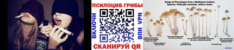 где можно купить наркотик  kraken ССЫЛКА  Галлюциногенные грибы прущие грибы  Кола 