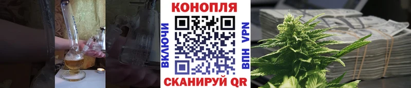 Марихуана конопля  Кола 